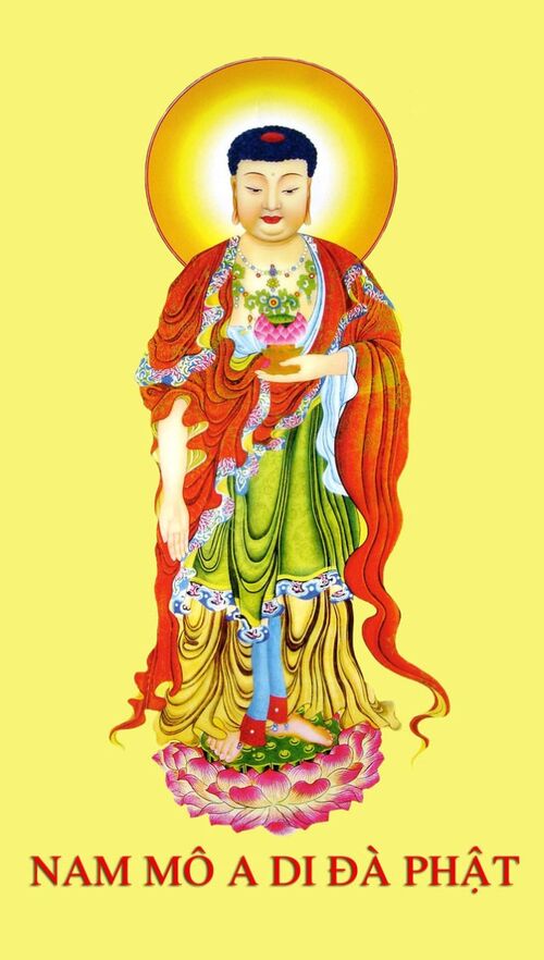Lễ khánh đản đức Phật A Di Đà tại chùa Phổ Hiền