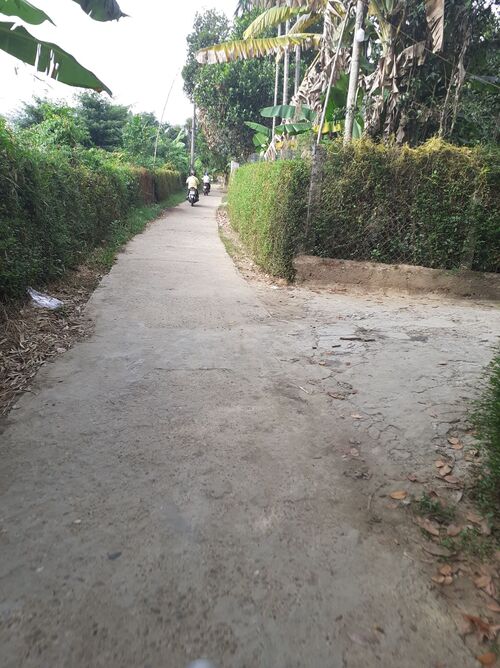 Thăm và giúp đỡ các cụ già bệnh yếu neo đơn, bệnh nhân nghèo, và các em khuyết tật tại Huế nhân mùa Vu Lan